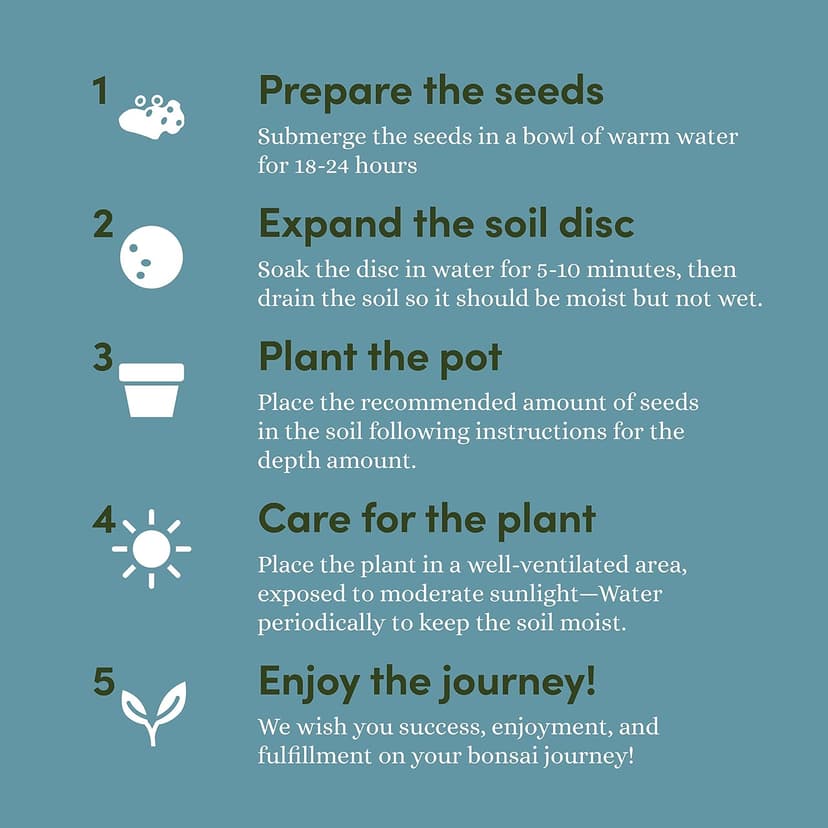 Bonsai Starter Kit - Gardening Easter Gift for Women & Men - Bonsai Tree Growing Garden Crafts Hobby Kits for Adults, Unique DIY Hobbies for Plant Lovers - Unusual Christmas Gifts Ideas