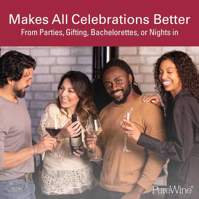 PureWine The Wand Wine Purifier - Red & White Wine Filters for Histamines & Sulfites, Sulfite Remover Sticks, Helps Allergies & Headaches, Gift Accessories for Women & Men - 3 Wands, Silver