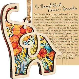 Best Friend Birthday Gifts for Women, Friendship Elephant Ornament with Story Card, Friendship Gifts for Women, Birthday Presents for Best Friends Sisters Special Bond Decor, Suncatcher