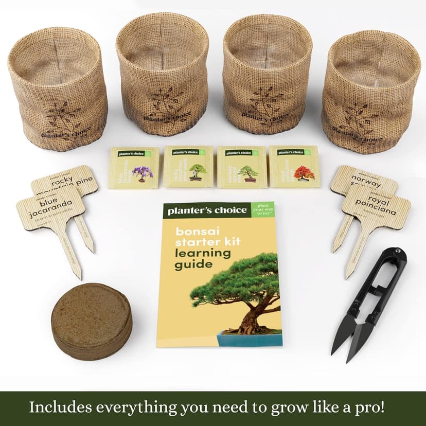 Bonsai Starter Kit - Gardening Easter Gift for Women & Men - Bonsai Tree Growing Garden Crafts Hobby Kits for Adults, Unique DIY Hobbies for Plant Lovers - Unusual Christmas Gifts Ideas