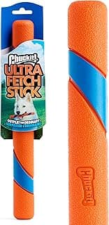 Chuckit! Interactive Dog Toy Ultra Fetch Stick - 12 Inch Outdoor Dog Toy for All Breed Sizes