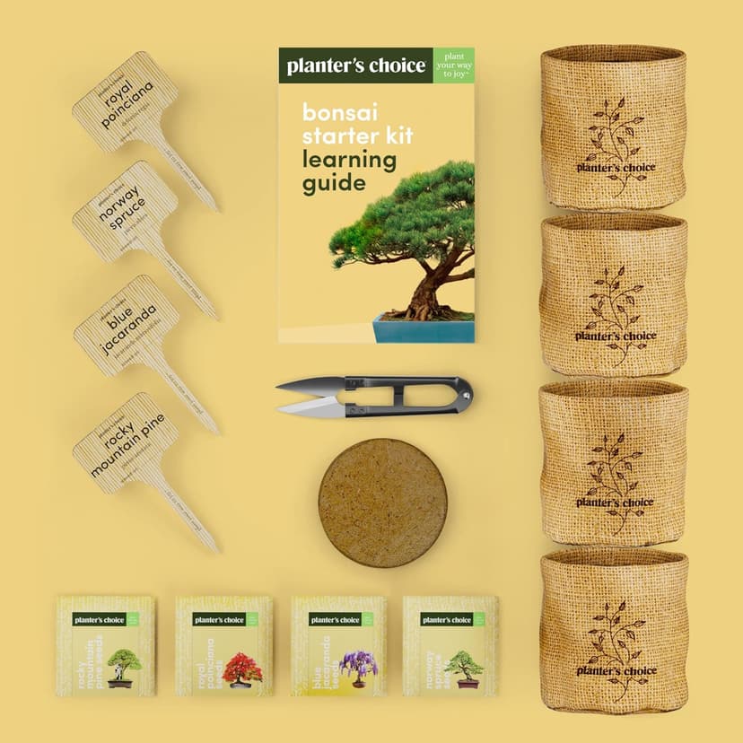 Bonsai Starter Kit - Gardening Easter Gift for Women & Men - Bonsai Tree Growing Garden Crafts Hobby Kits for Adults, Unique DIY Hobbies for Plant Lovers - Unusual Christmas Gifts Ideas