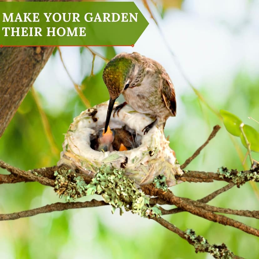 Hummingbird Nesters - Bird Nesting Material Holder for Wild Birds - Humming Bird House Materials Gifts for Bird Watching Nature Lovers - Refillable Outdoor Nesting Station to Build a Nest