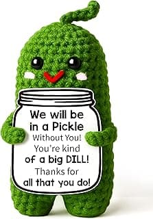 Christmas Gifts for Coworkers, Teachers, Bosses, Friends - White Elephant Gifts, Thank You Gift for Holidays, Retirement, Funny Appreciation Gift - Handmade Emotional Care Pickle with 'A Big Dill' Message