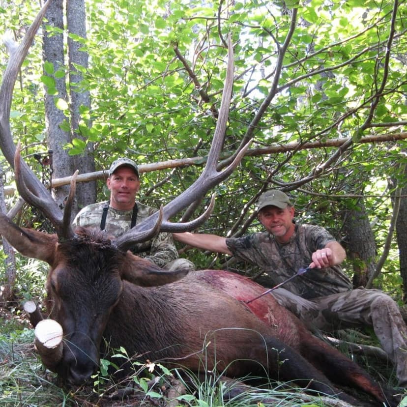 EAmber Camouflage Hunting Gloves Full Finger/Fingerless Gloves Pro Anti-Slip Camo Glove Archery Accessories Hunting Outdoors