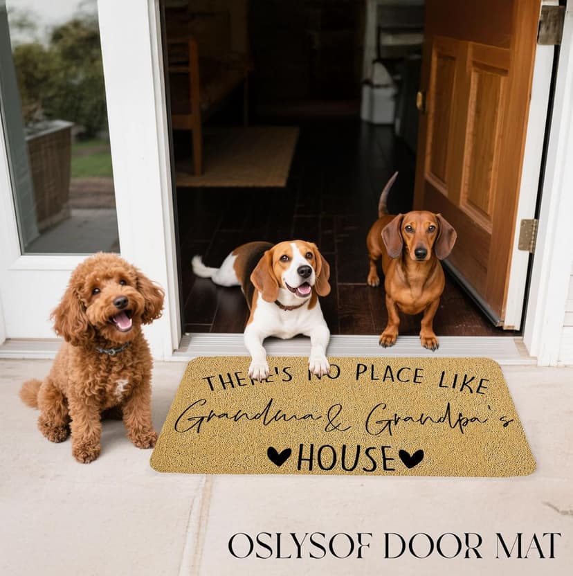 Grandma Grandpa Gifts Door Mat, Grandma and Grandpa's House Funny Doormat for Front Door Indoor Outdoor Porch Entrance Entryway, Gifts for Grandparents Welcome Mat Outside, 17x30 Inches