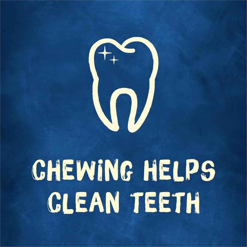 Purina Busy Bone Adult Dog Chew Bone Treats, Peanut Butter - 10 ct. Pouch