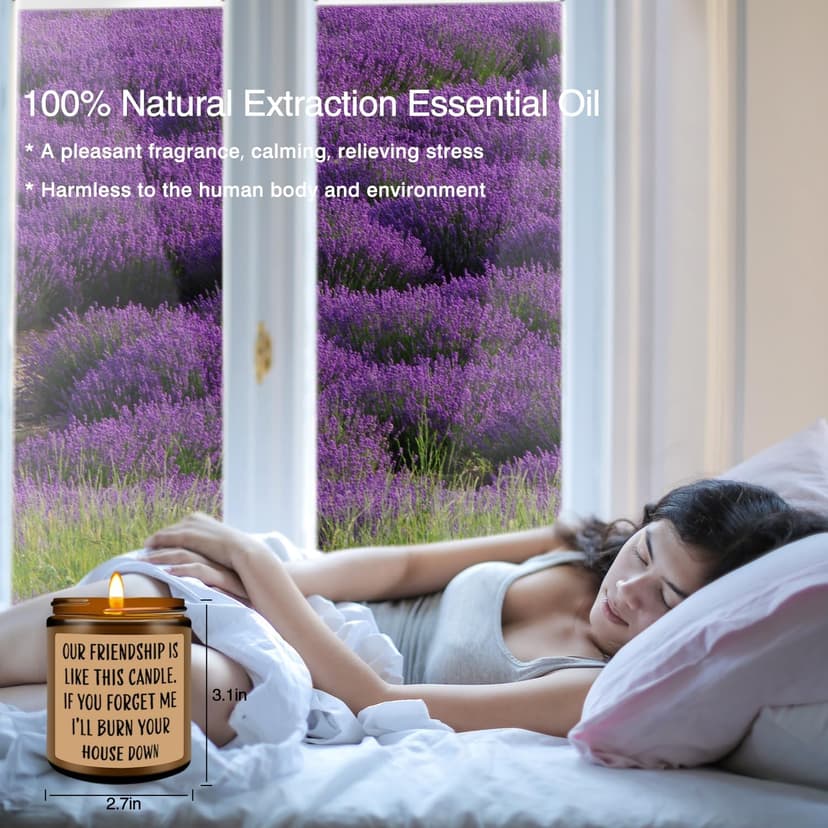 Homsolver Friends Birthday Christmas Gifts for Women, Friend Funny Scented Soy Candles Gift, Our Friendship Candle Premium Lavender Scent