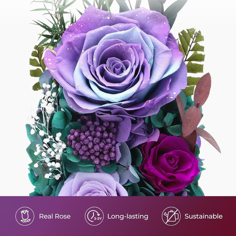 Dsuto Forever Fresh Flowers Bouquet in Glass Dome with Light, Preserved Purple Roses Gifts for Women on Birthdays, Anniversaries, Christmas, Valentine’s Day & Mother’s Day