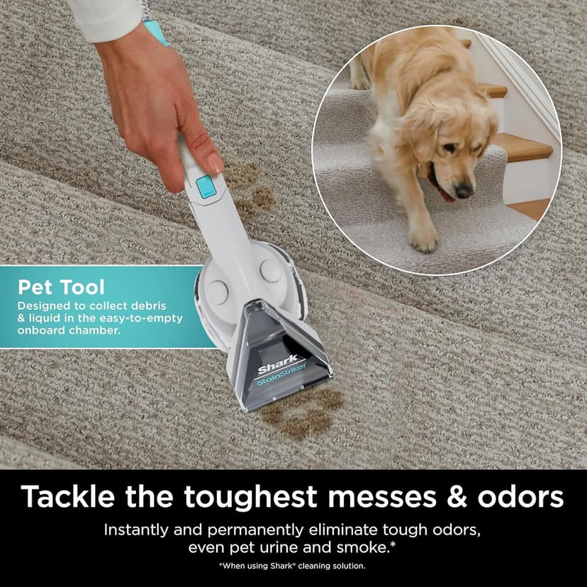Shark StainStriker Portable Carpet, Upholstery & Area Rug Cleaner with Pet Mess Tool, Stain & Odor Remover, Perfect for Car Interiors, Includes 3 Cleaning Tools & Cleaning Solution, White, PX201