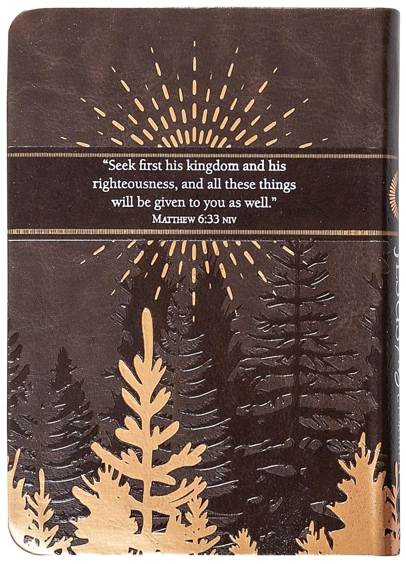 Jesus First for Men: 365 Devotions to Start Your Day