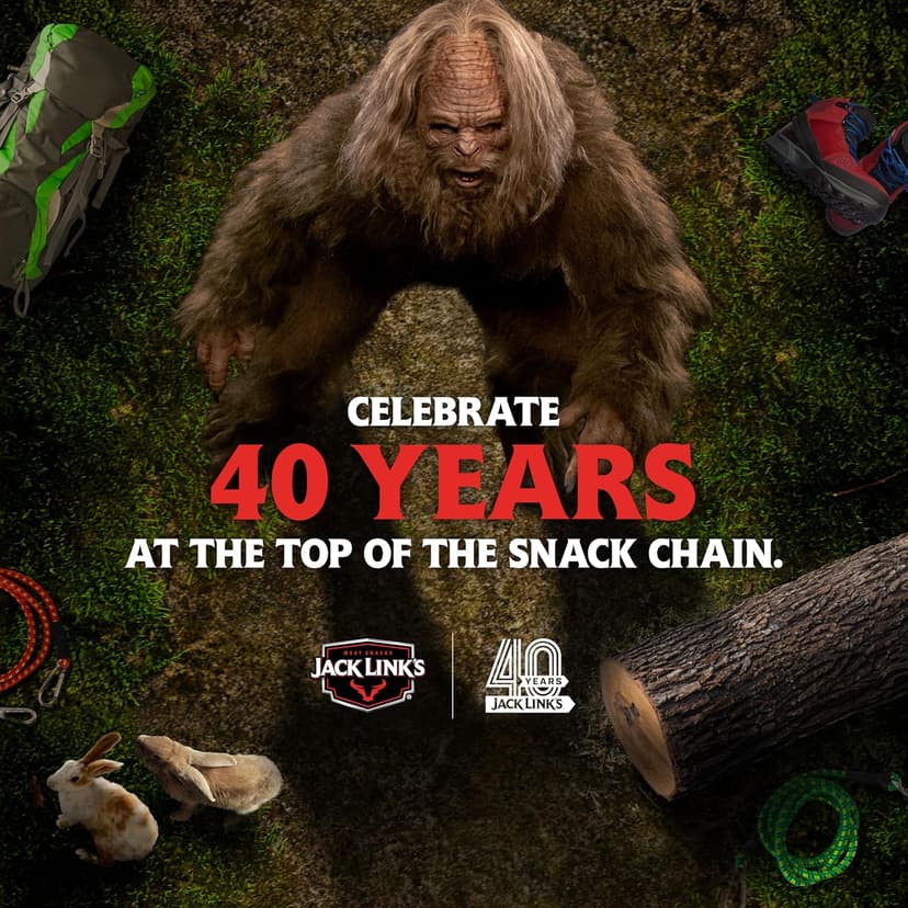 Jack Link's Beef Jerky Gift Basket Variety Pack - Includes Jerky, Meat Sticks, and Beef Steaks, Great Gift for Men, Perfect Hunting Trip Snacks, 15-Piece Assorted Meat Snack Pack