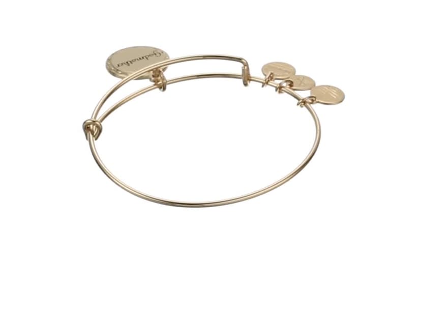 Alex and Ani Godmother Charm Bangle