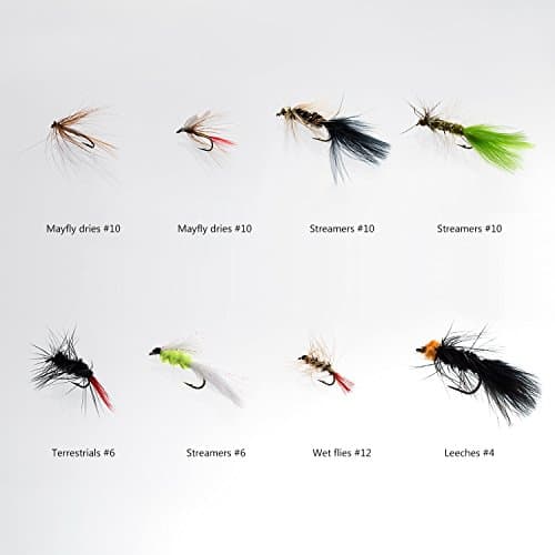 BASSDASH Fly Fishing Assorted Flies Kit, Pack of 64 pcs Including Dry and Wet Flies, Nymphs, Streamers, Terrestrials, Leeches and More, with Magnetic Fly Box