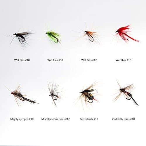 BASSDASH Fly Fishing Assorted Flies Kit, Pack of 64 pcs Including Dry and Wet Flies, Nymphs, Streamers, Terrestrials, Leeches and More, with Magnetic Fly Box