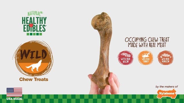 Nylabone Healthy Edibles WILD Natural Dog Chew Treats for Large Dogs, Long Lasting Dog Healthy Chew Bones Made in USA, Venison Flavor, For Dogs Up to 50 lbs. (1 Count)