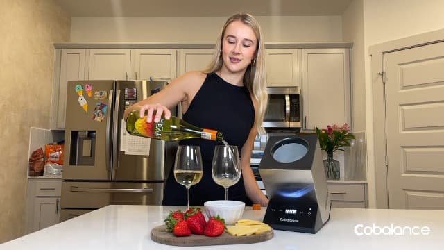 Electric Wine Chiller, Single Bottle Cooler for 750ml Wine or Some Champagne,Stainless Steel Iceless Cooler Keep Cold Up to 24h,Kitchen,Bar and RV Vino Accessory,Gift for Vino Lover