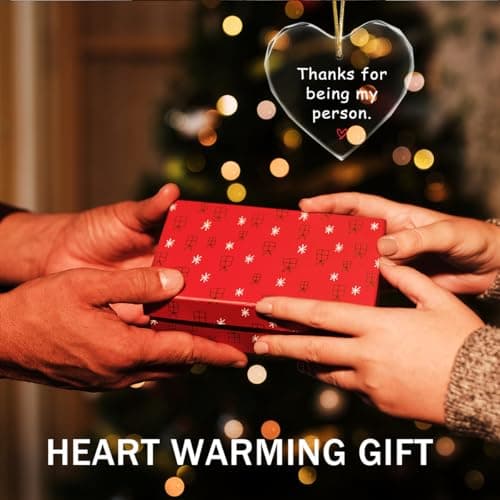 Thanks for Being My Person Gifts,Thank You GITS for Women Appreciation Gift for Friends,Crystal Hanging Ornament