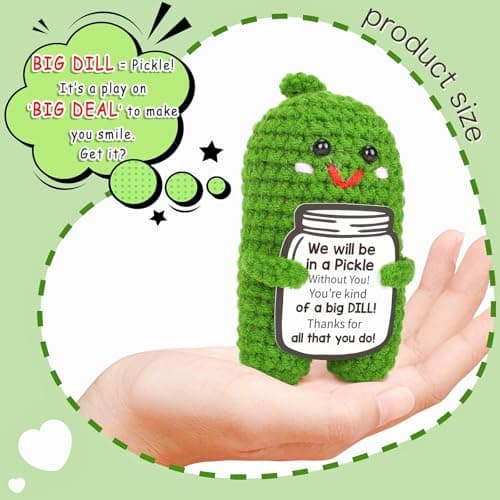 Christmas Gifts for Coworkers, Teachers, Bosses, Friends - White Elephant Gifts, Thank You Gift for Holidays, Retirement, Funny Appreciation Gift - Handmade Emotional Care Pickle with 'A Big Dill' Message