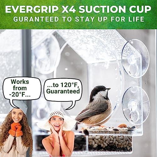 Nature Anywhere Window Bird Feeder - Transparent Acrylic Bird Feeders for Outdoors - Enhanced Suction Grip, Bird Watching for Cats, Easy-to-Clean, Outdoor Birdhouse Feeder (1 Unit)