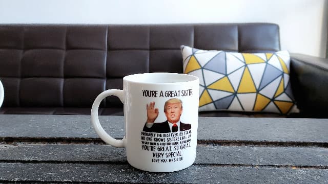 Aurahouse You're A Great Sister Mug, Funny Sister Gifts from Sister Brother, Sister Birthday Gifts, Christmas Gifts, Mothers Day Gifts for Sister-in-law, Soul Sister 11 Oz Cup