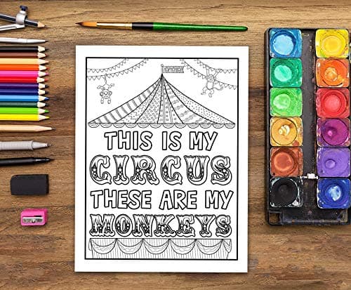 Mom Life: A Snarky Adult Coloring Book
