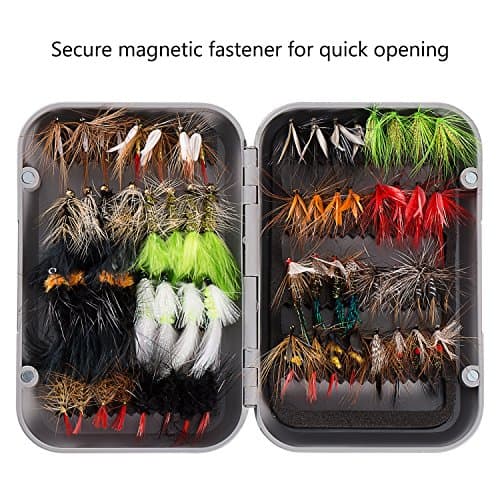 BASSDASH Fly Fishing Assorted Flies Kit, Pack of 64 pcs Including Dry and Wet Flies, Nymphs, Streamers, Terrestrials, Leeches and More, with Magnetic Fly Box
