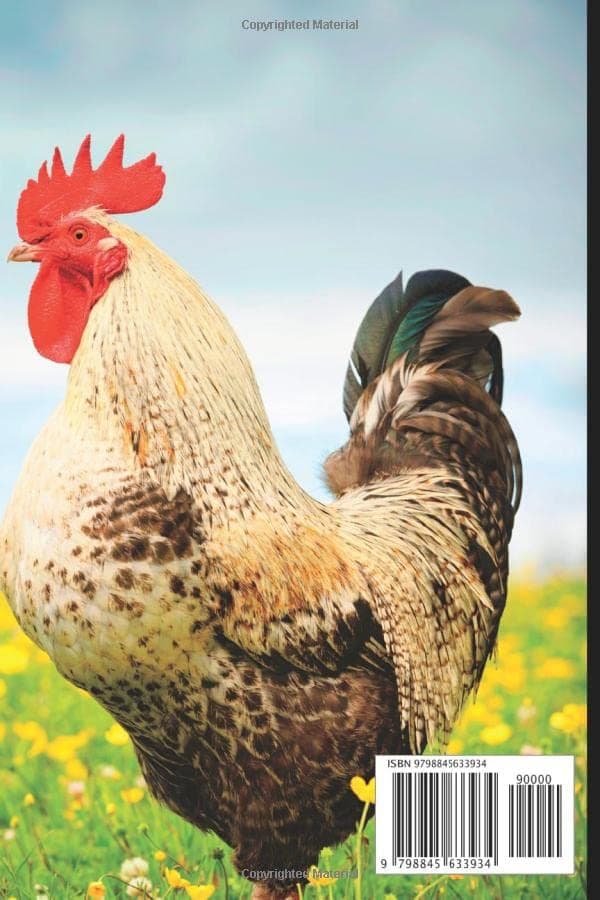 Pictures of Cocks: Funny White Elephant, Yankee Swap, Secret Santa Gift, (Stupid Gifts Ideas)