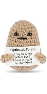 Hoedia Handmade Emotional Pickle Gift, Cucumber Crochet Doll Inspirational Gifts with Cards, Cute Knitted Funny Support Potato Friend Birthday Mothers Day Easter Basket Stuffers (Emotional Pickle)