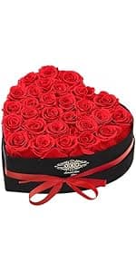 Christmas Flowers Roses Gifts for Mom,Forever Real Preserved Roses in Glass Dome,Christmas Anniversary Thanksgiving Gifts for Wife Girlfriend Women Best Friend Grandma/Purple Rose