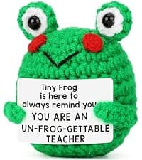 LEJIAJINW Friendship for Women Birthday Bestie BFF Sister, Birthday Gifts for Women Friends, Mini Cute Handmade Frog Positive Gift Ideas Christmas Thanksgiving Valentines Day for Her