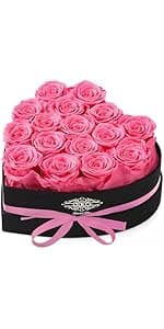 Christmas Flowers Roses Gifts for Mom,Forever Real Preserved Roses in Glass Dome,Christmas Anniversary Thanksgiving Gifts for Wife Girlfriend Women Best Friend Grandma/Purple Rose