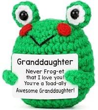 LEJIAJINW Friendship for Women Birthday Bestie BFF Sister, Birthday Gifts for Women Friends, Mini Cute Handmade Frog Positive Gift Ideas Christmas Thanksgiving Valentines Day for Her