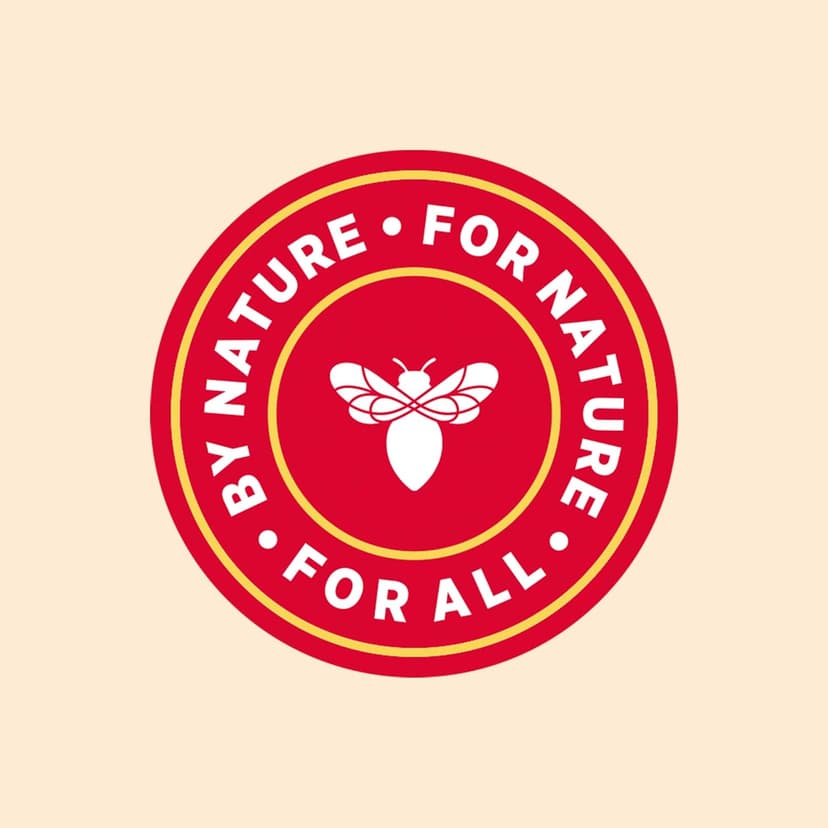 Burt's Bees Gifts Ideas - Essential Everyday Beauty Set, 5 Travel Size Products - Deep Cleansing Cream, Hand Salve, Body Lotion, Foot Cream and Lip Balm