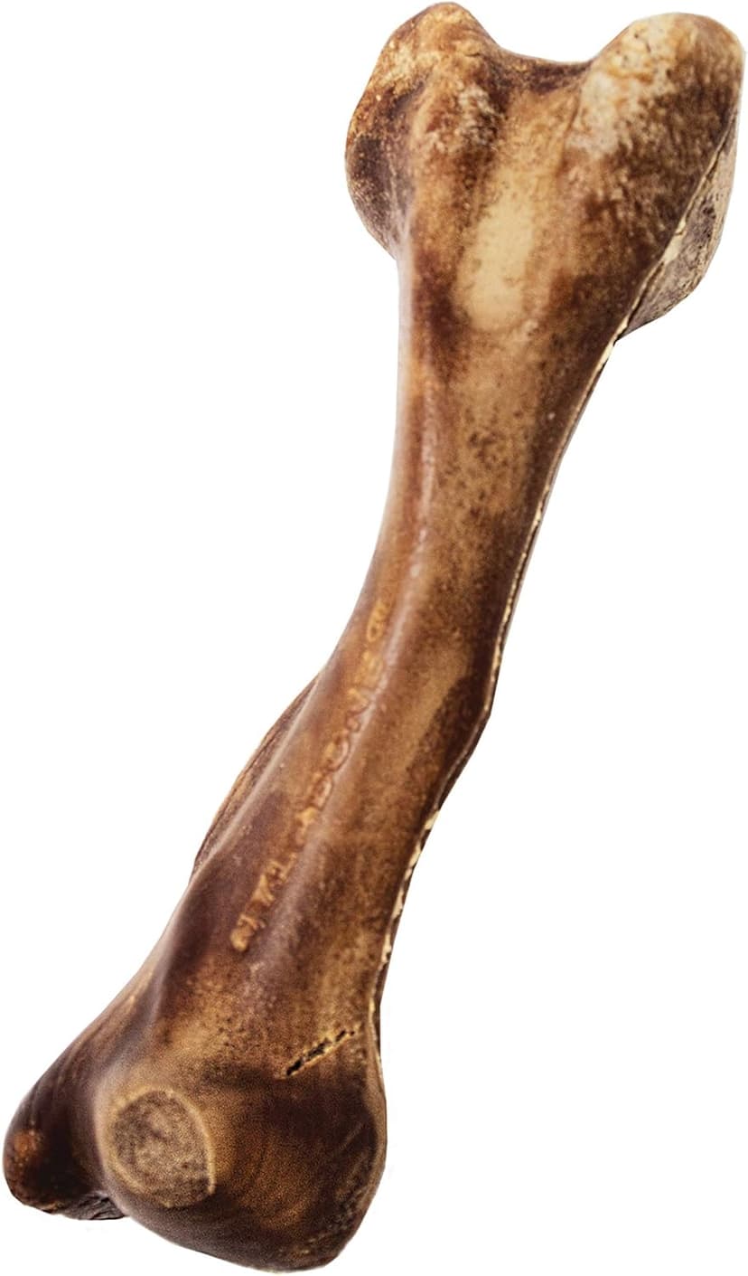 Nylabone Healthy Edibles WILD Natural Dog Chew Treats for Large Dogs, Long Lasting Dog Healthy Chew Bones Made in USA, Venison Flavor, For Dogs Up to 50 lbs. (1 Count)