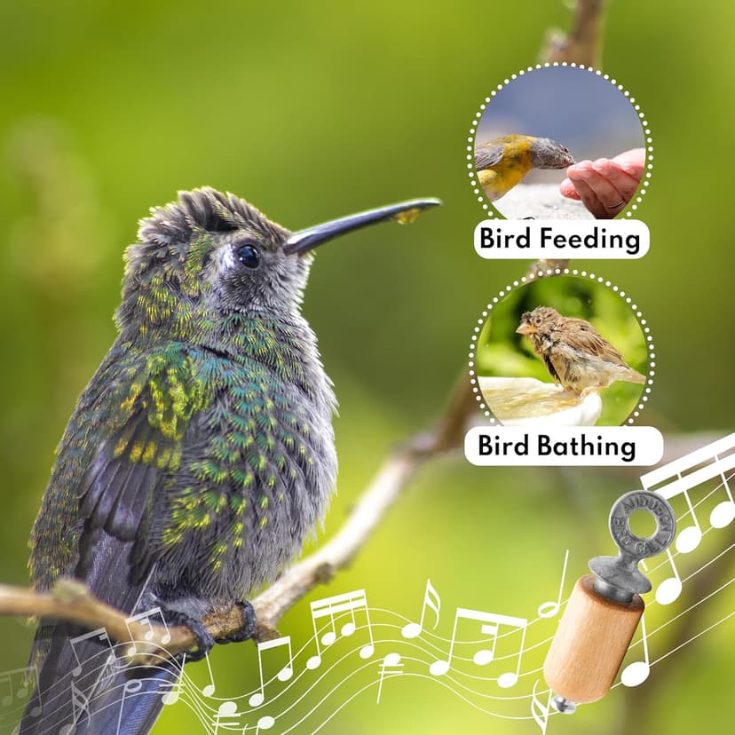 Audubon Bird Call - Natural Birch Gift Pack