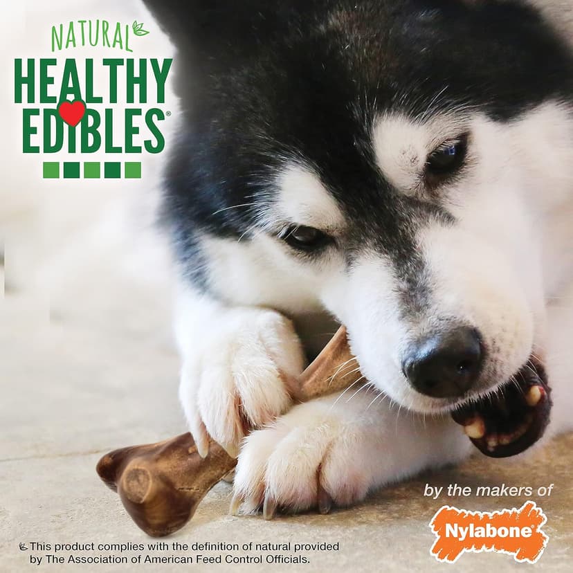 Nylabone Healthy Edibles WILD Natural Dog Chew Treats for Large Dogs, Long Lasting Dog Healthy Chew Bones Made in USA, Venison Flavor, For Dogs Up to 50 lbs. (1 Count)