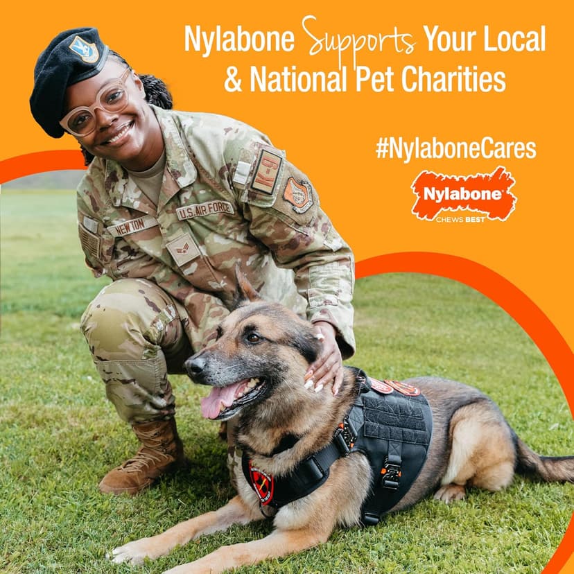 Nylabone Healthy Edibles WILD Natural Dog Chew Treats for Large Dogs, Long Lasting Dog Healthy Chew Bones Made in USA, Venison Flavor, For Dogs Up to 50 lbs. (1 Count)