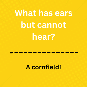 Silly Jokes For 10 Year Olds: Laugh Out Loud Fun For 10 Year Olds