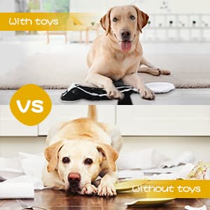 Dog Squeak Toys, No Stuffing Plush Dogs Chew Toy Bundle for Small Medium Large Breed Chewer Tough Durable Squeaky Pet Fetch Puppy Teething Chewing Interactive to Keep Them Busy Best Birthday Gift