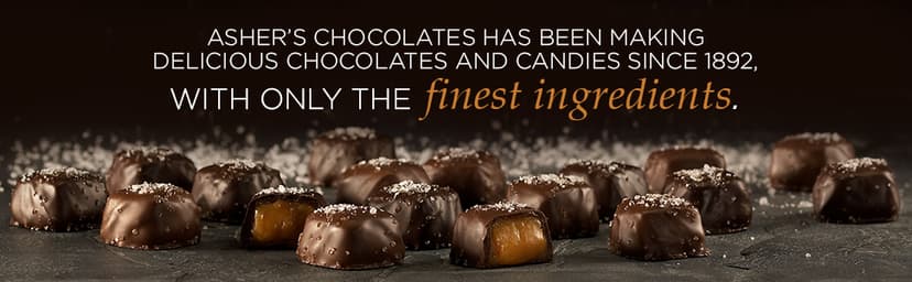 Asher's Chocolates, Chocolate Covered Pretzels Gift Basket, Holiday Assortment of Candy, Small Batches of Kosher Chocolate, Family Owned Since 1892, Improved Box Design (Milk & Dark)