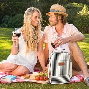 Tirrinia Insulated 2 Bottle Wine Gift Tote Bag - Wine Tumbler Glass Cooler Carrier for BYOB Restaurants, Wine Tasting, Travel, Park, Beach, Great Wine Lover Gift, Blue Stripe