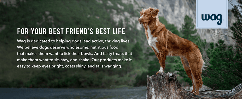 Amazon Brand - Wag Dog Treats, Chicken and Waffle Bites, 12 oz Resealable Pack of 1