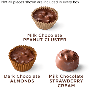 Russell Stover Caramel and Nuts in Milk and Dark Chocolate, Mother's Day Chocolate Gift Box, 9.4 Ounce