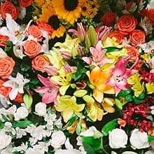 Benchmark Bouquets - Charming Roses & Alstroemeria (Glass Vase Included) - Fresh Flowers for Delivery - Gift for Graduation, Birthday, Anniversary, Sympathy, Get Well, Congratulations