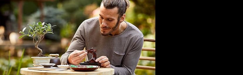 LEGO Icons Bonsai Tree Building Set - Artificial Bonsai Tree Plants for Home Decor, Adults Ages 18+ - Faux, Fake Plants for Table, Desk, Office - Birthday Gift for Men & Women - 10281