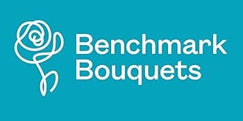 Benchmark Bouquets - 20 Stem Rainbow Mini Carnations (Glass Vase Included) - Fresh Flowers for Delivery - Gift for Birthday, Anniversary, Sympathy, Get Well, Congratulations, Thanksgiving, Christmas