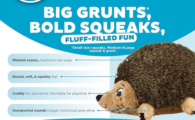 Outward Hound, Hedgehogz Plush Dog Toy, Medium