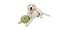 Wobble Wag Giggle Ball | Rolling Enrichment Toy for Fun Playtime, Interactive Play for Indoor or Outdoor, Keeps Dogs & Puppies Large, Medium or Small Busy & Moving, As Seen on TV | Pack of 1