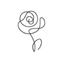 Benchmark Bouquets - 20 Stem Rainbow Mini Carnations (Glass Vase Included) - Fresh Flowers for Delivery - Gift for Birthday, Anniversary, Sympathy, Get Well, Congratulations, Thanksgiving, Christmas